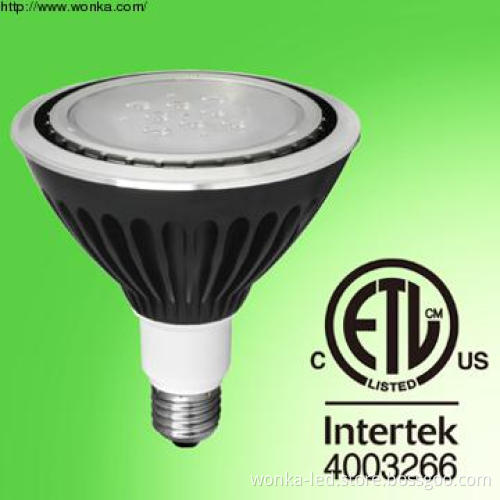 Original Design stage lamp CW PAR 38 for LED Project Lighting